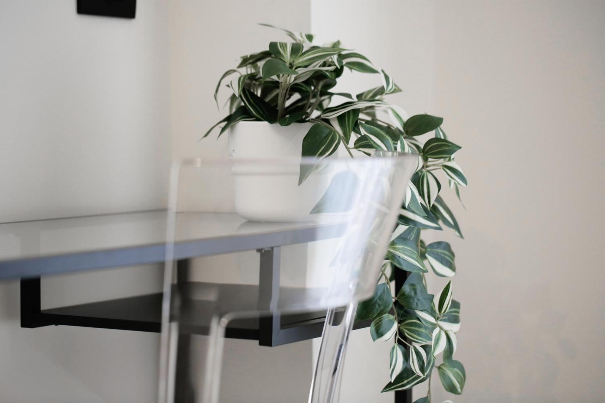 New Modern Flat 10 Minutes Walk From Central Station Milano Dış mekan fotoğraf